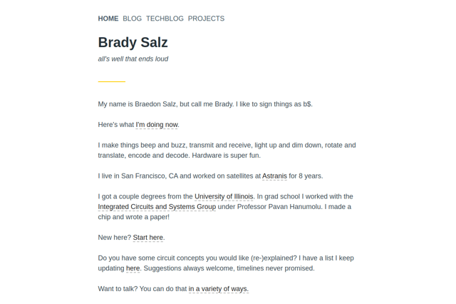 bradysalz.com screenshot